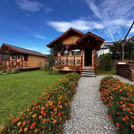 Baltina Parc Transfagarasan Villa Curtea de Argeş Екстериор снимка
