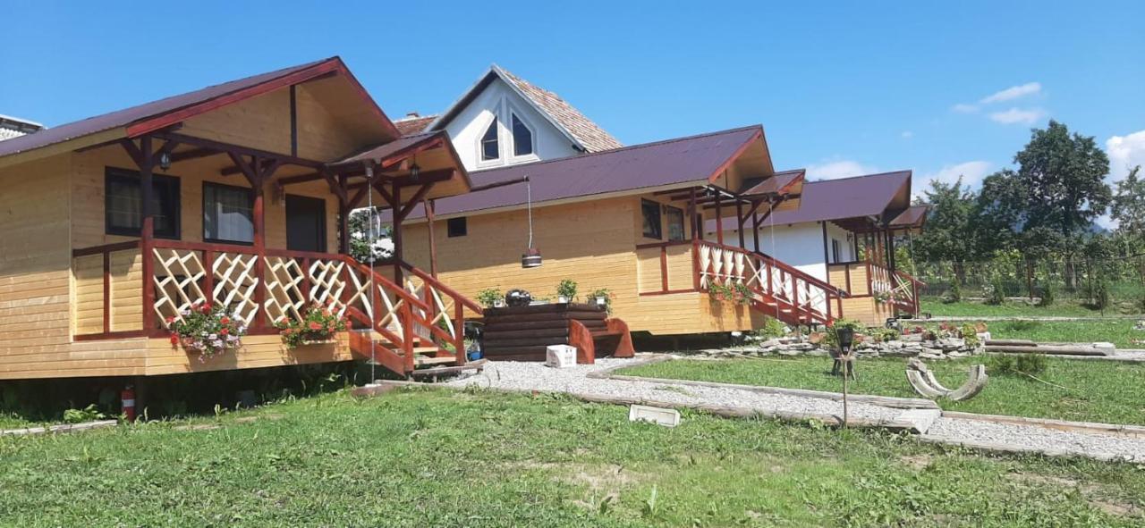 Baltina Parc Transfagarasan Villa Curtea de Argeş Екстериор снимка