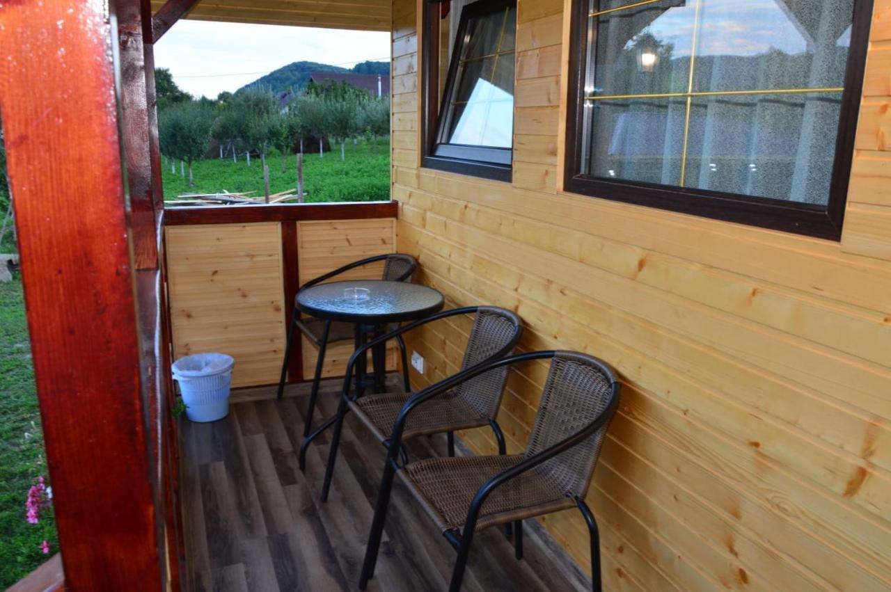 Baltina Parc Transfagarasan Villa Curtea de Argeş Екстериор снимка