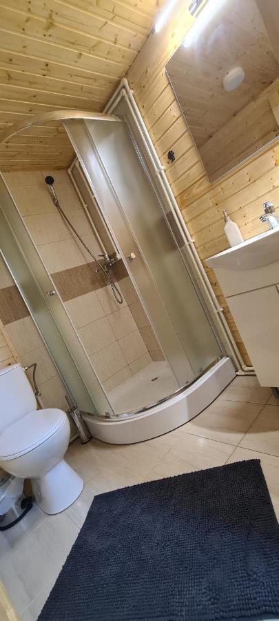 Baltina Parc Transfagarasan Villa Curtea de Argeş Екстериор снимка