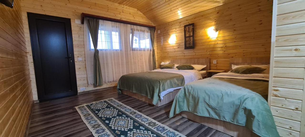 Baltina Parc Transfagarasan Villa Curtea de Argeş Екстериор снимка
