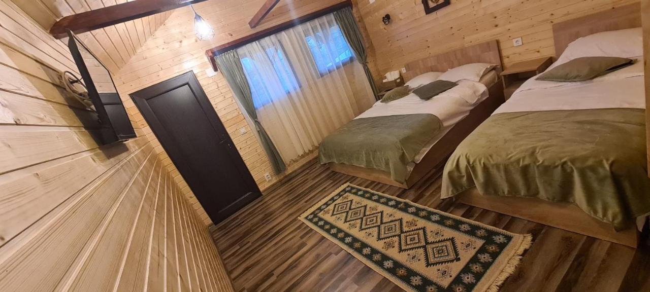 Baltina Parc Transfagarasan Villa Curtea de Argeş Екстериор снимка