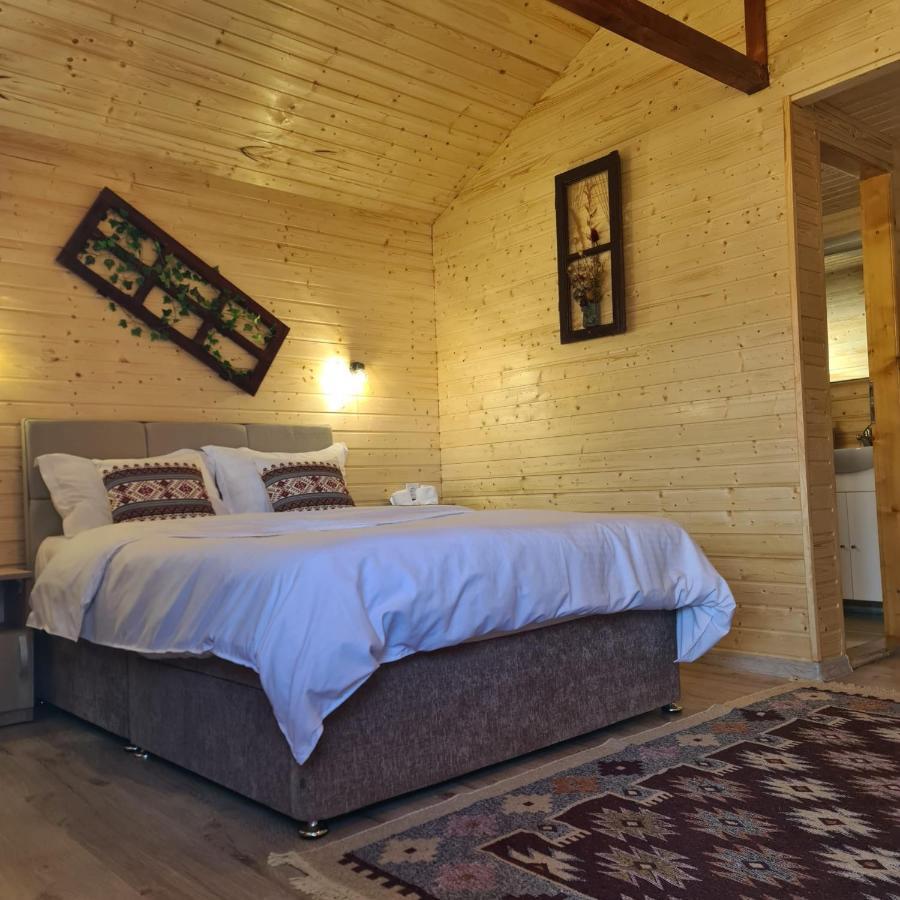 Baltina Parc Transfagarasan Villa Curtea de Argeş Екстериор снимка