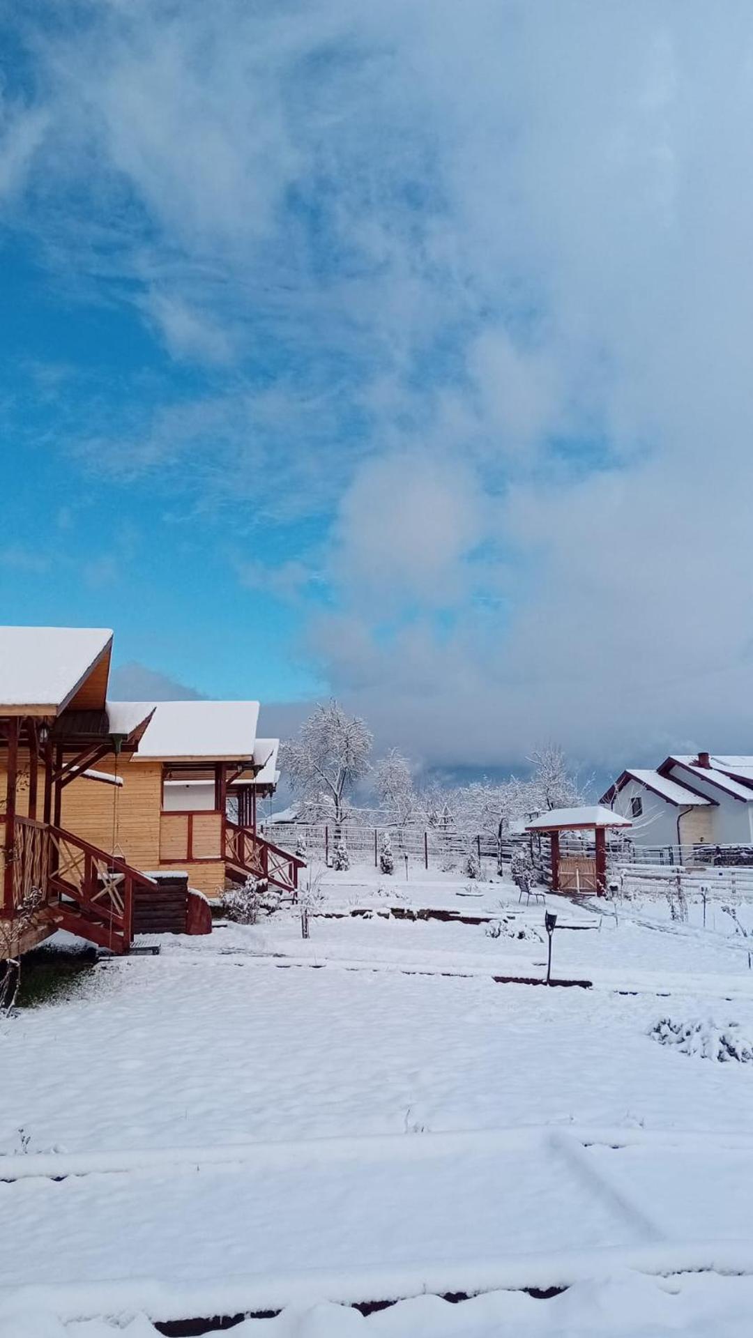 Baltina Parc Transfagarasan Villa Curtea de Argeş Екстериор снимка