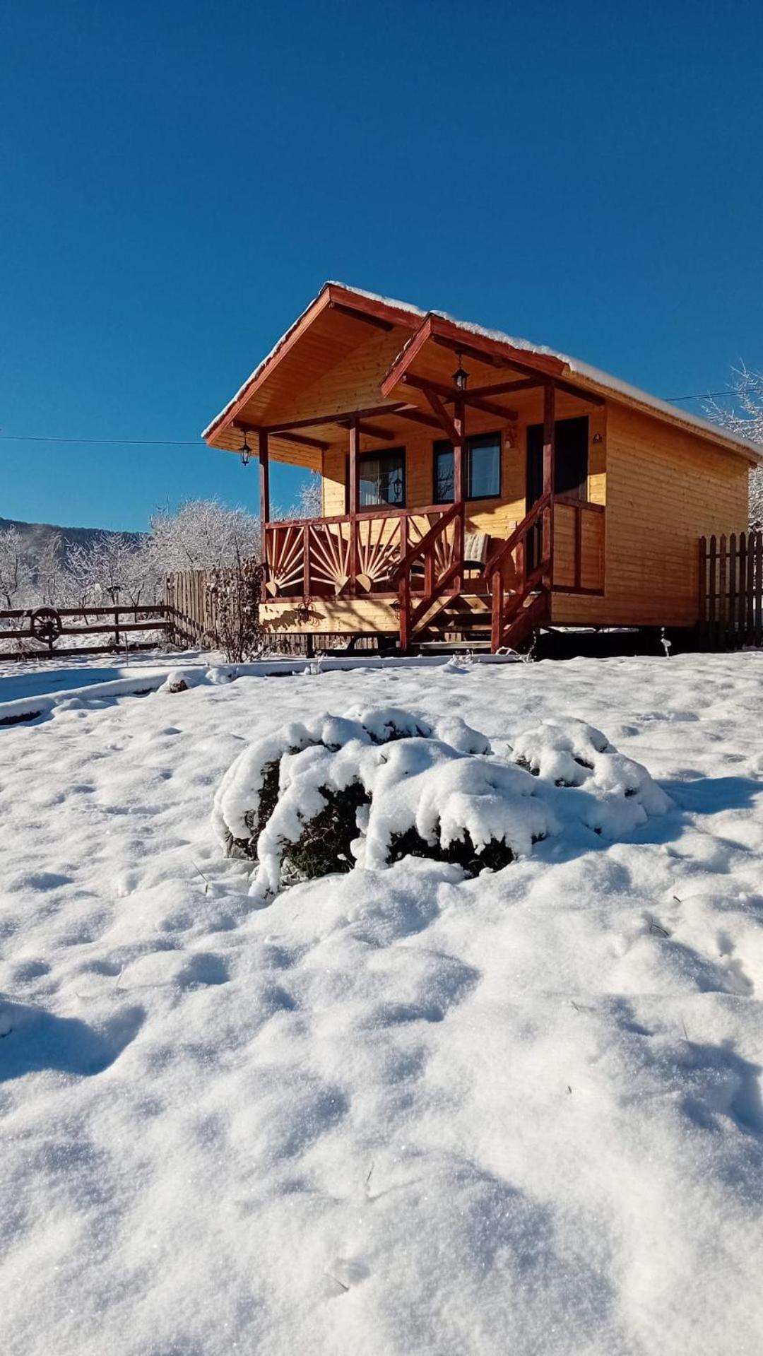 Baltina Parc Transfagarasan Villa Curtea de Argeş Екстериор снимка