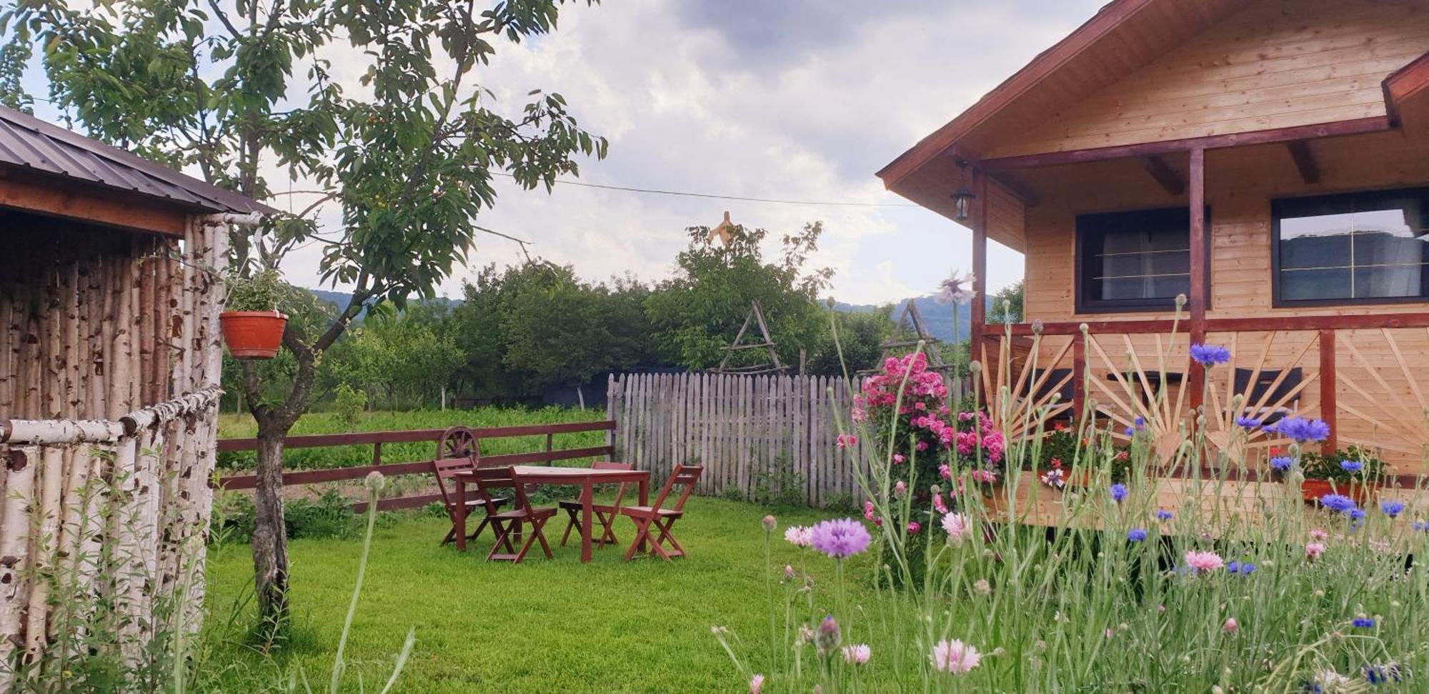Baltina Parc Transfagarasan Villa Curtea de Argeş Екстериор снимка