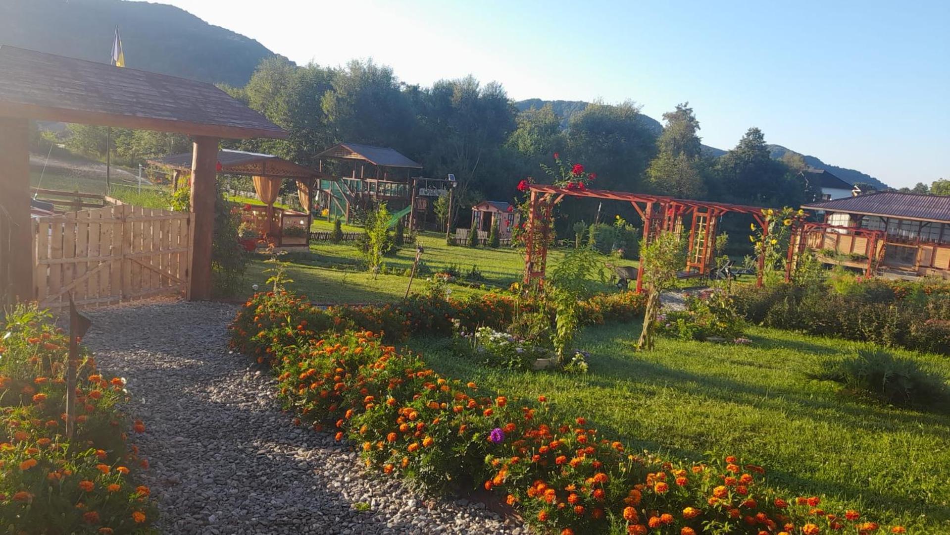 Baltina Parc Transfagarasan Villa Curtea de Argeş Екстериор снимка