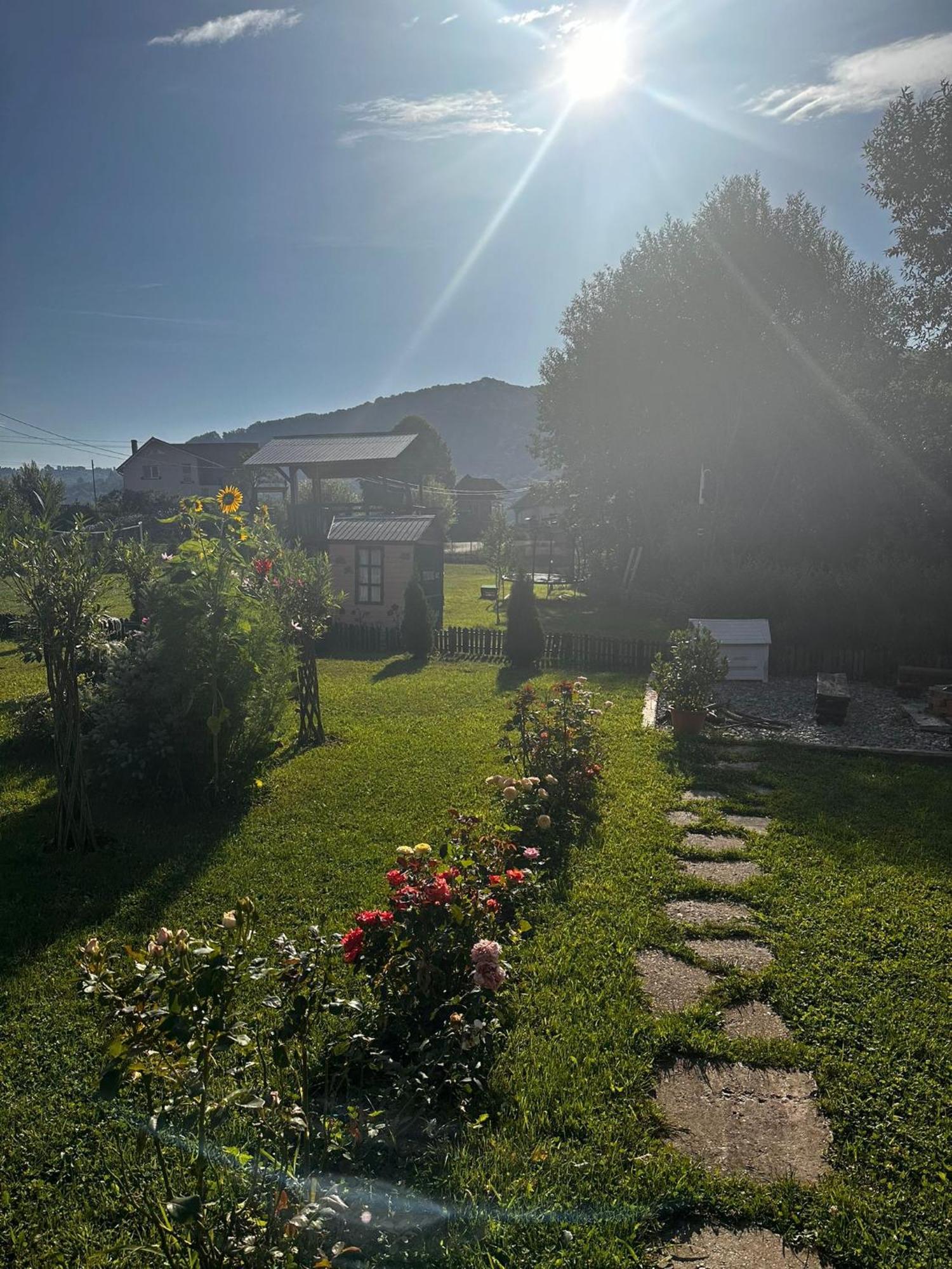 Baltina Parc Transfagarasan Villa Curtea de Argeş Екстериор снимка