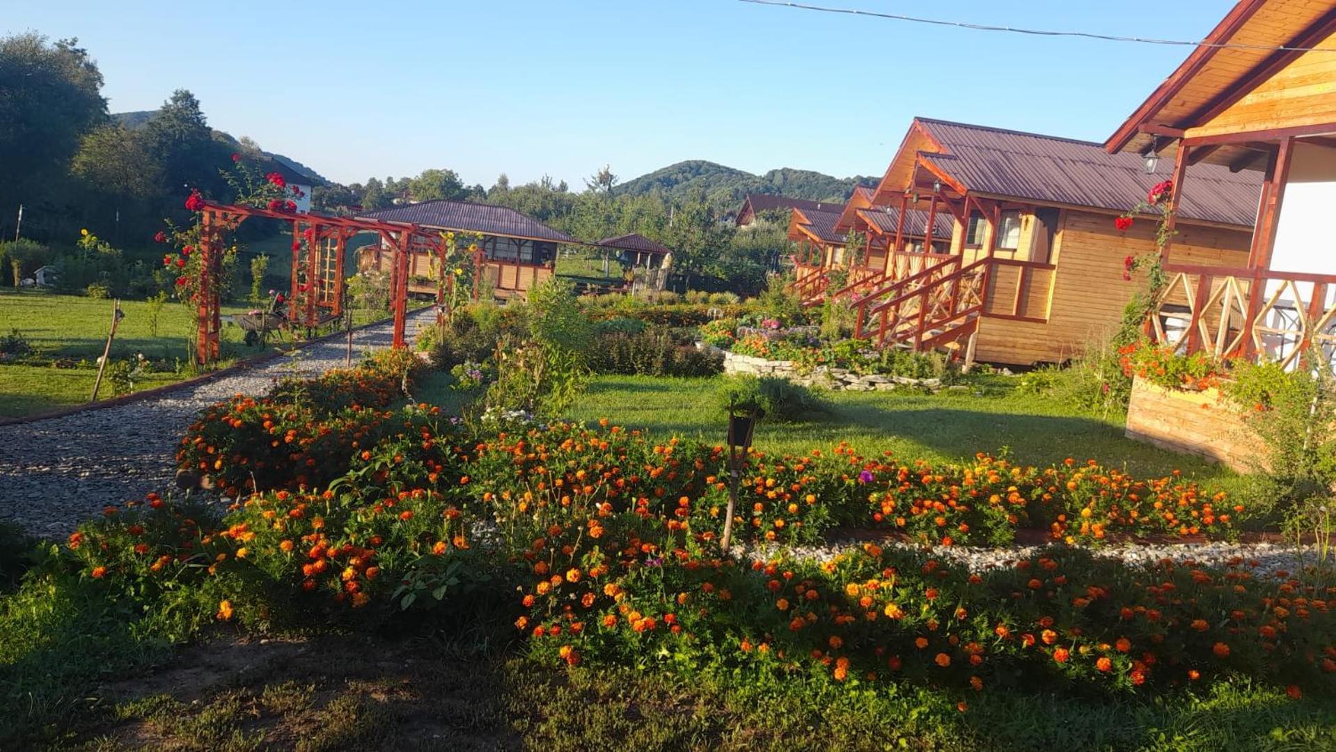 Baltina Parc Transfagarasan Villa Curtea de Argeş Екстериор снимка